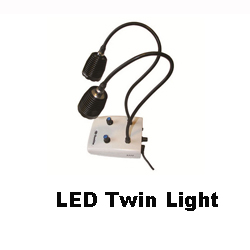 Twin Light